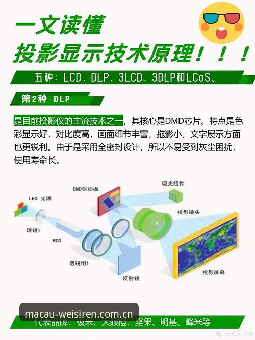 5大核心亮点读懂澳门威斯人游戏网站官方站兼容版功能详解：从适配原理到实用技巧